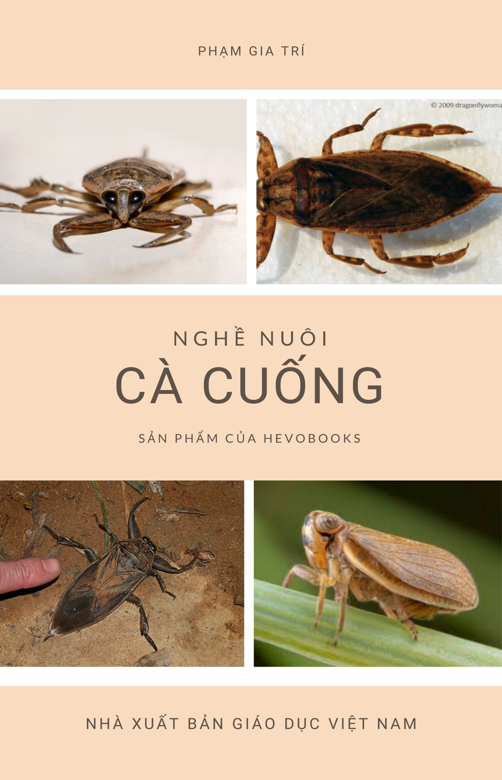 Ảnh bìa cho NGHỀ NUÔI CÀ CUỐNG